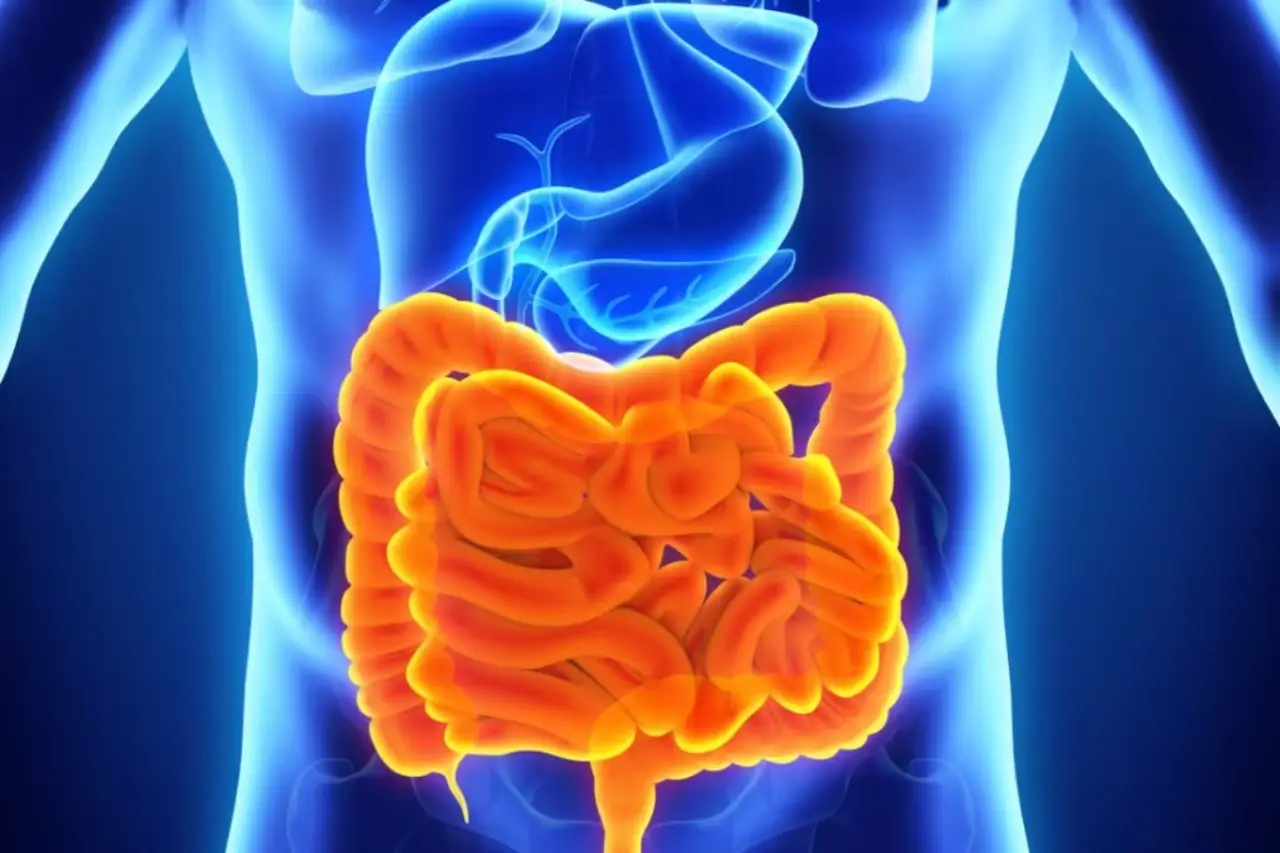 Soffri di colon irritabile? Ecco i pochi biscotti che puoi mangiare senza dolore o gonfiore