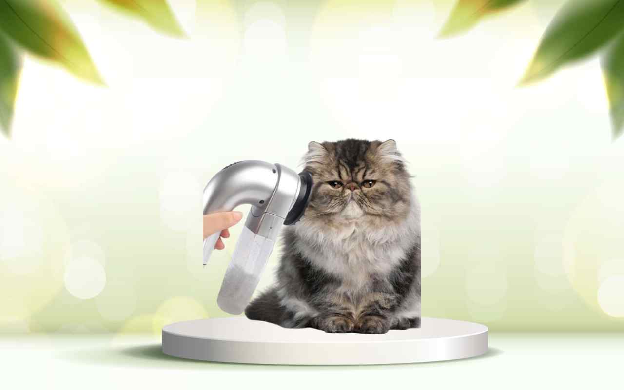 Elimina i peli degli animali in casa con SpazzolAmica: prova la soluzione definitiva